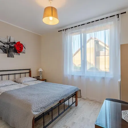 Camelot Проживание в семье *